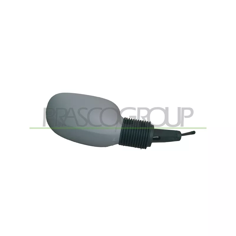 Rétroviseur extérieur PRASCO FD0067123