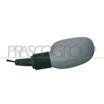Rétroviseur extérieur PRASCO FD0067124
