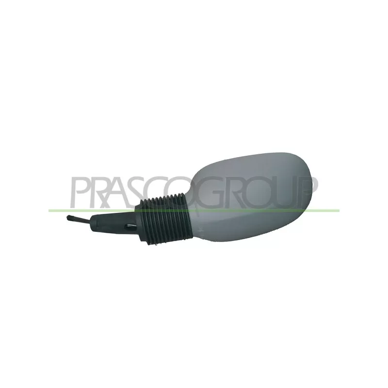 Rétroviseur extérieur PRASCO FD0067124