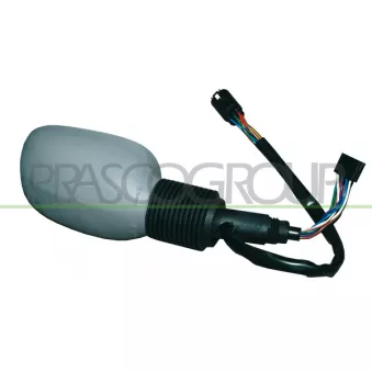 Rétroviseur extérieur PRASCO FD0067313