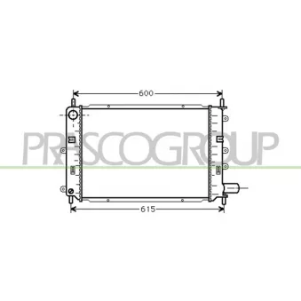 Radiateur, refroidissement du moteur PRASCO FD024R005