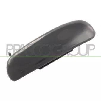 Poignée extérieure de porte avant droit PRASCO FD0508007