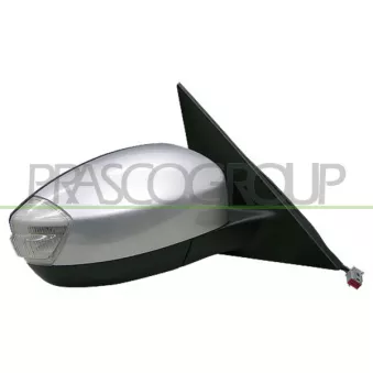 Rétroviseur extérieur PRASCO FD0797313P