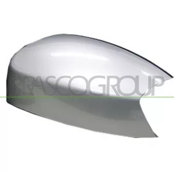 Revêtement, rétroviseur extérieur PRASCO FD0797413