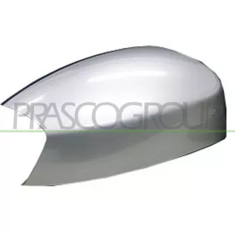 Revêtement, rétroviseur extérieur PRASCO FD0797414