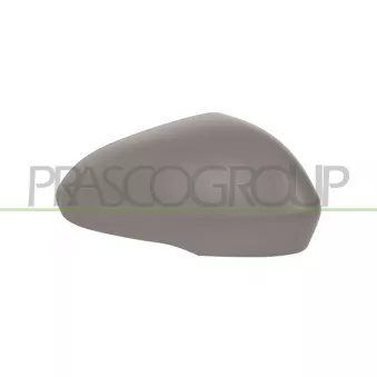 Revêtement, rétroviseur extérieur PRASCO FD1147413