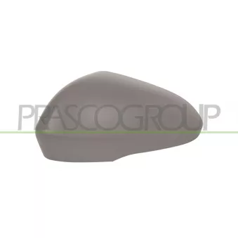 Revêtement, rétroviseur extérieur PRASCO FD1147414