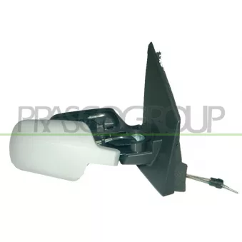 Rétroviseur extérieur PRASCO FD3407323P