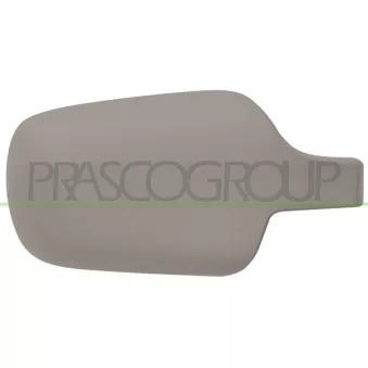 Revêtement, rétroviseur extérieur PRASCO FD3407413