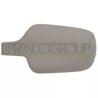 Revêtement, rétroviseur extérieur PRASCO FD3407414