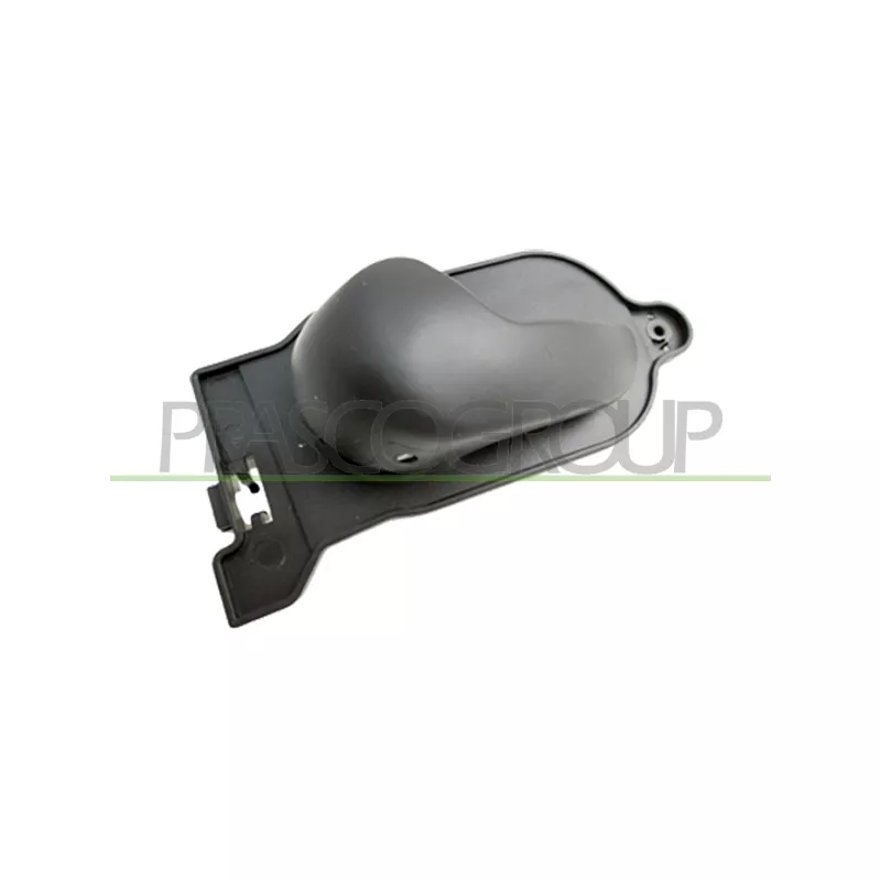 Poignet de porte, équipment intérieur avant gauche PRASCO FD3408602