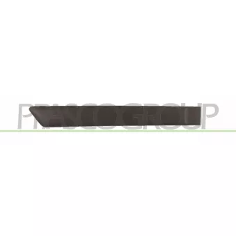 Baguette et bande protectrice, porte arrière droit PRASCO FD3421453