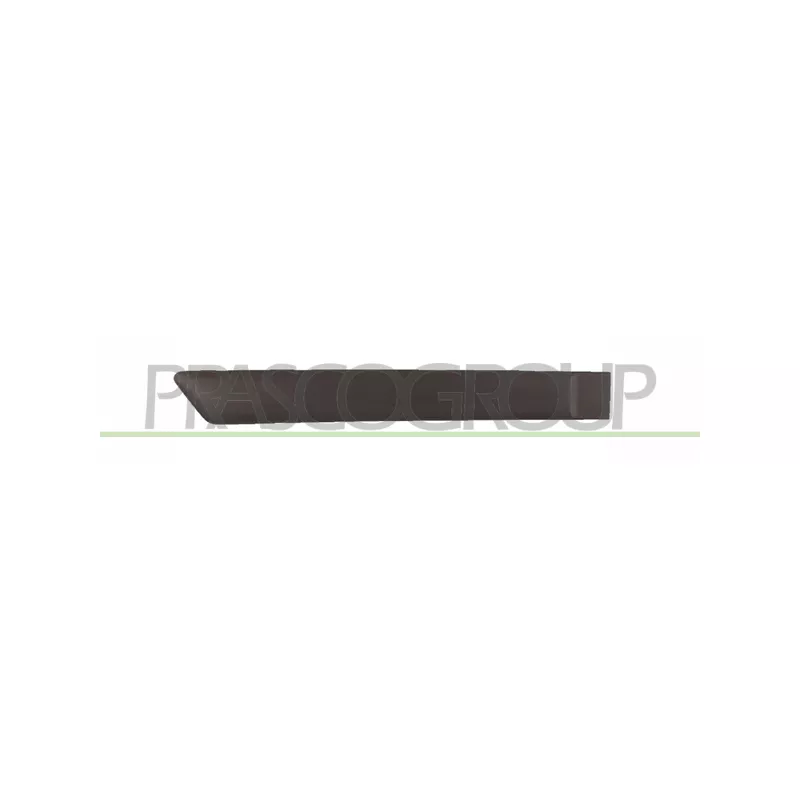 Baguette et bande protectrice, porte arrière droit PRASCO FD3421453
