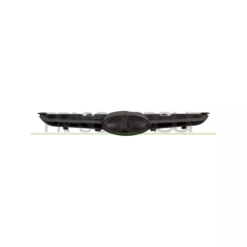 Grille de radiateur PRASCO FD3442001