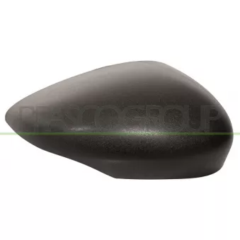 Revêtement, rétroviseur extérieur PRASCO FD3447403
