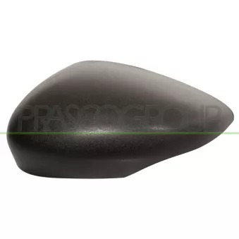 Revêtement, rétroviseur extérieur PRASCO FD3447404