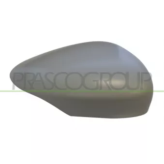Revêtement, rétroviseur extérieur PRASCO FD3447413