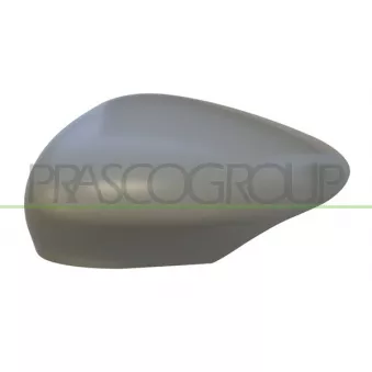 Revêtement, rétroviseur extérieur PRASCO FD3447414