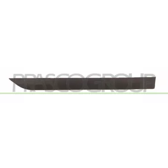 Baguette et bande protectrice, porte arrière droit PRASCO FD4201453