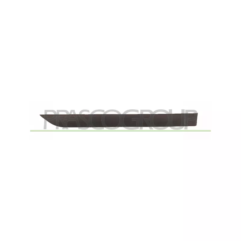 Baguette et bande protectrice, porte arrière droit PRASCO FD4201453