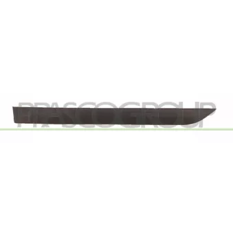Baguette et bande protectrice, porte arrière gauche PRASCO FD4201454