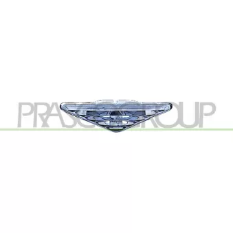Feu clignotant PRASCO FD4204143