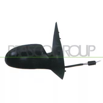 Rétroviseur extérieur PRASCO FD4207123P