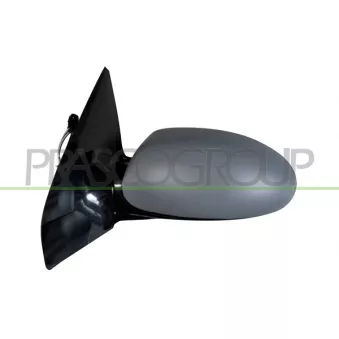 Rétroviseur extérieur PRASCO FD4207324P