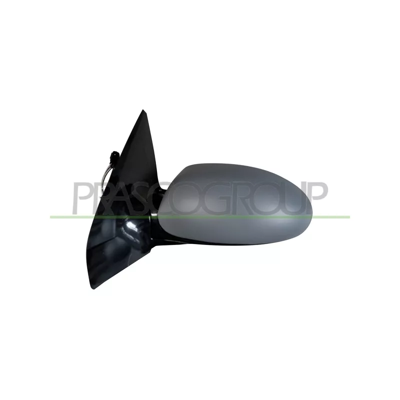 Rétroviseur extérieur PRASCO FD4207324P