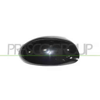 Revêtement, rétroviseur extérieur PRASCO FD4207403