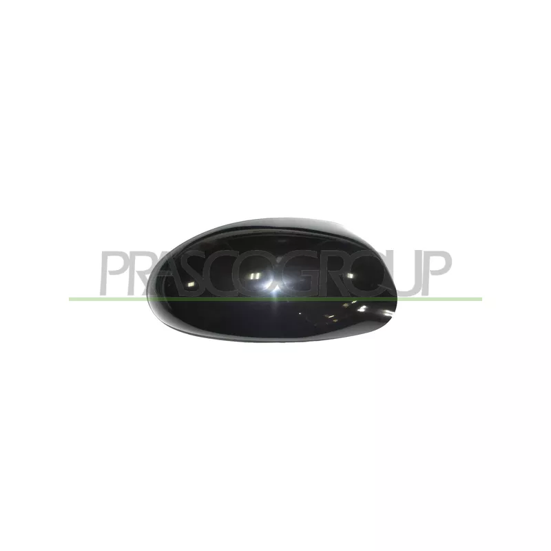 Revêtement, rétroviseur extérieur PRASCO FD4207403