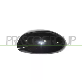 Revêtement, rétroviseur extérieur PRASCO FD4207404