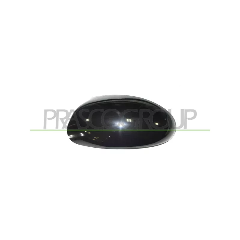 Revêtement, rétroviseur extérieur PRASCO FD4207404