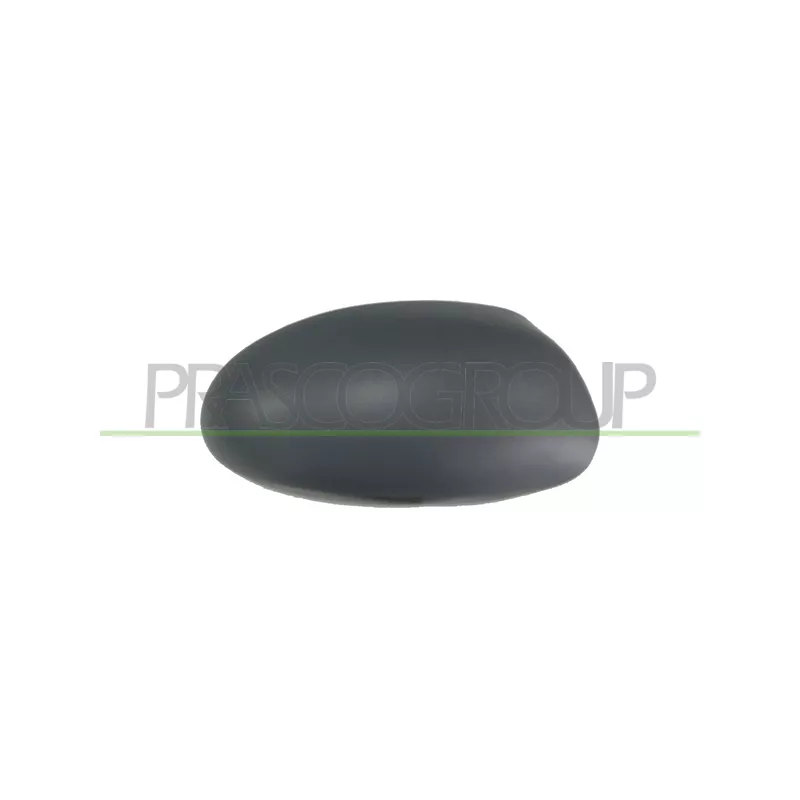 Revêtement, rétroviseur extérieur PRASCO FD4207413