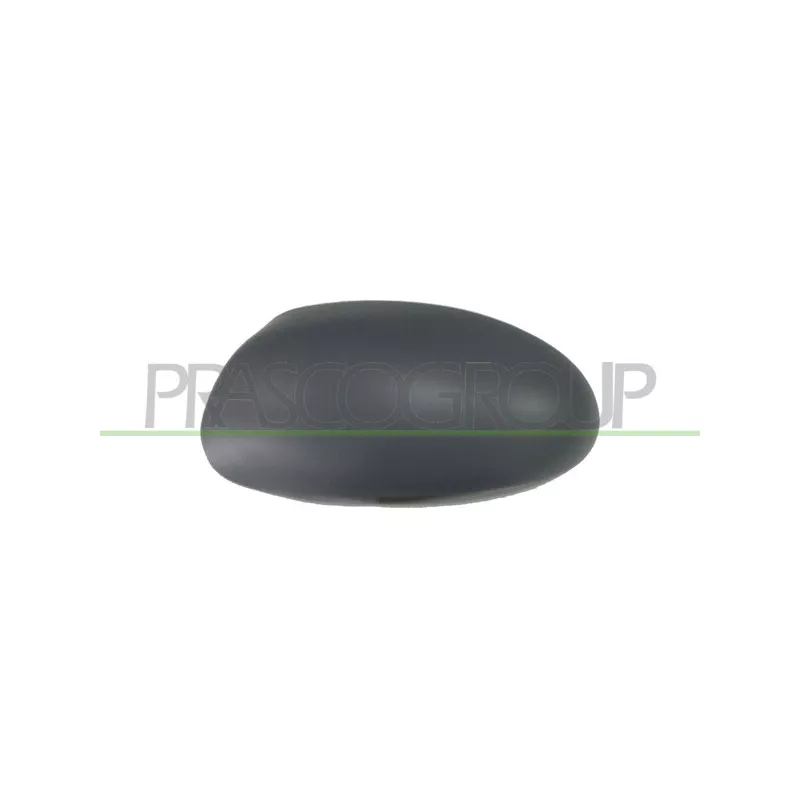 Revêtement, rétroviseur extérieur PRASCO FD4207414