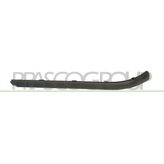 Baguette et bande protectrice, pare-chocs arrière gauche PRASCO FD4221254