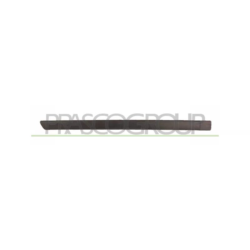 Baguette et bande protectrice, porte arrière droit PRASCO FD4241453