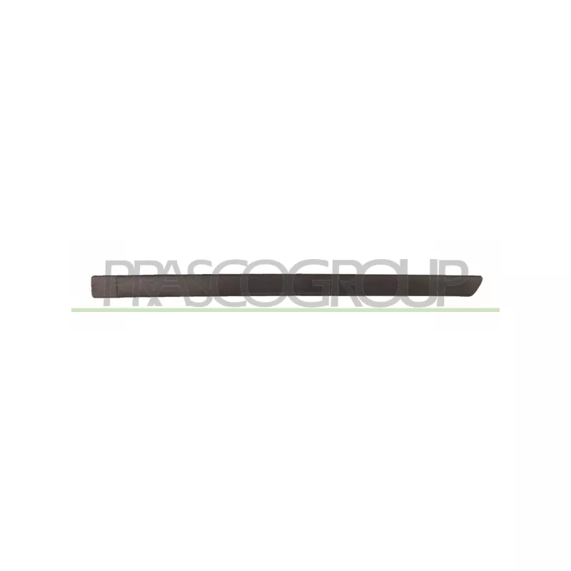 Baguette et bande protectrice, porte arrière gauche PRASCO FD4241454