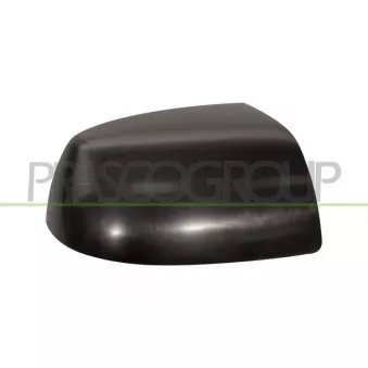 Revêtement, rétroviseur extérieur PRASCO FD4247403