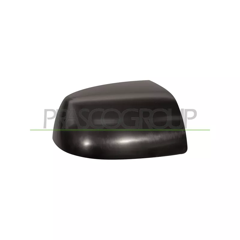 Revêtement, rétroviseur extérieur PRASCO FD4247403