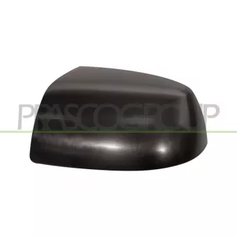 Revêtement, rétroviseur extérieur PRASCO FD4247404