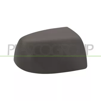 Revêtement, rétroviseur extérieur PRASCO FD4247413