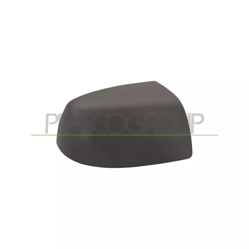 Revêtement, rétroviseur extérieur PRASCO FD4247413
