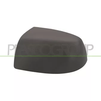 Revêtement, rétroviseur extérieur PRASCO FD4247414