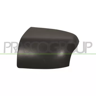 Revêtement, rétroviseur extérieur PRASCO FD4247424