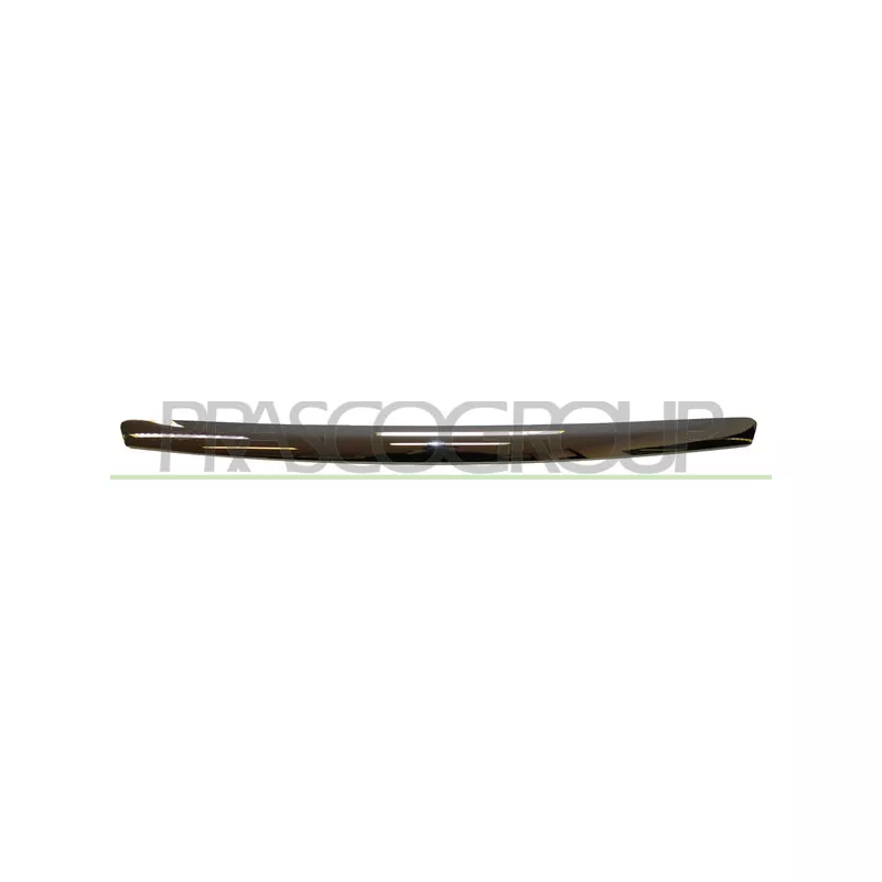 Baguette et bande protectrice, grille de radiateur PRASCO FD4262206