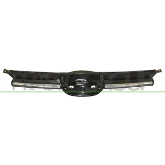 Grille de radiateur PRASCO FD4282001