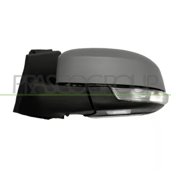 Rétroviseur extérieur PRASCO FD4287334P