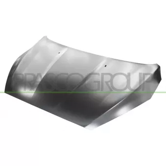 Capot-moteur PRASCO