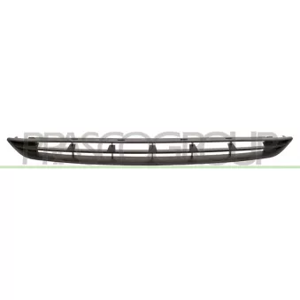 Grille de radiateur PRASCO FD6022001